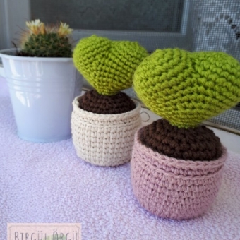 Amigurumi Dekoratif Kaktüs